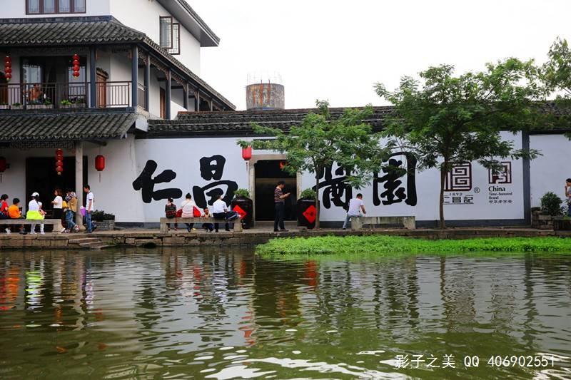 植物大战僵尸3